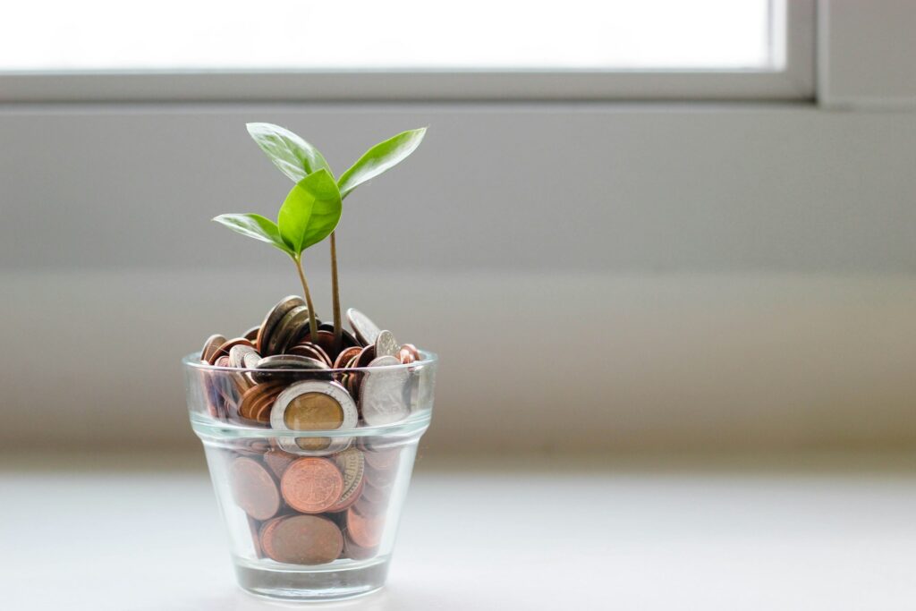 Wachsende Pflanze im Glasbecher – symbolisiert nachhaltigen Portfolioaufbau und langfristiges Vermögenswachstum
